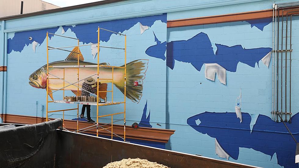 New Time-Lapse Video Shows Sweet Fish Mural in Downtown Jackson
