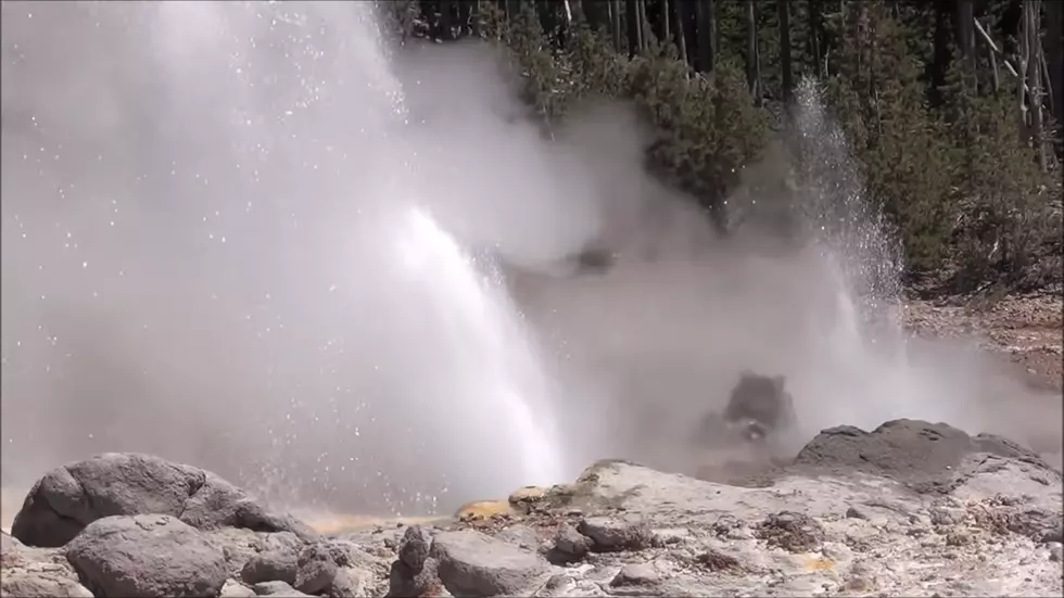Yellowstone’s Steamboat Geyser Now Erupting More Frequently