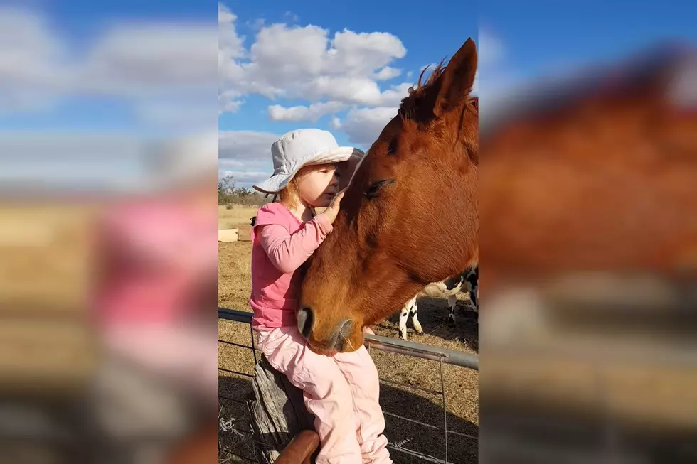 Watch This Sweet 3-Year-Old Girl Sing Her Horses to Sleep