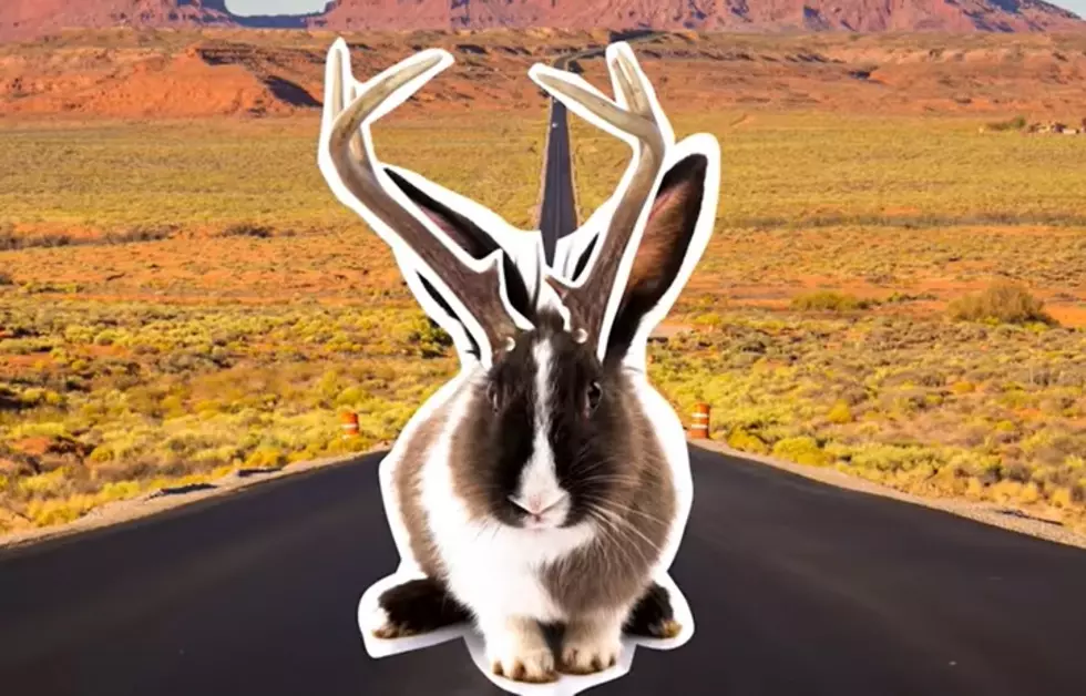 We Bet You&#8217;ve Never Heard These Facts About A Jackalope Before