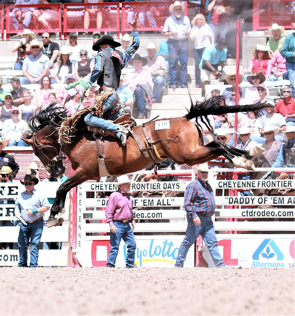 Chris Navarro’s Book “The Art of Rodeo” Is A Tribute To Cowboys