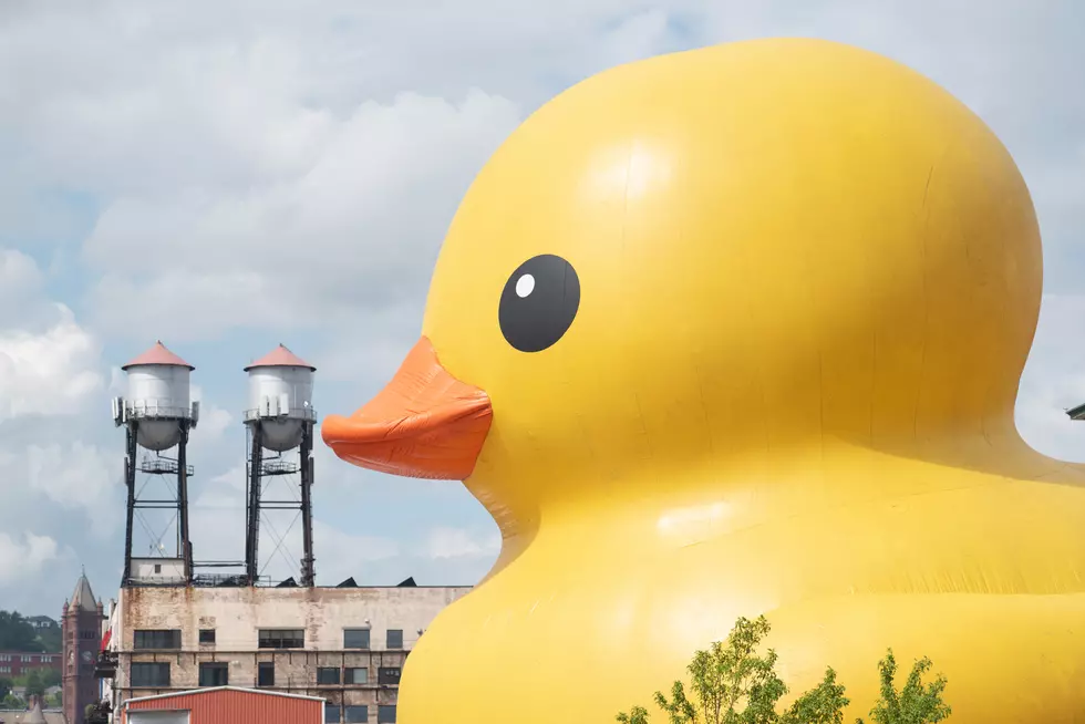 Casper Rotary Club’s Duck Derby Will Stream Online This Year