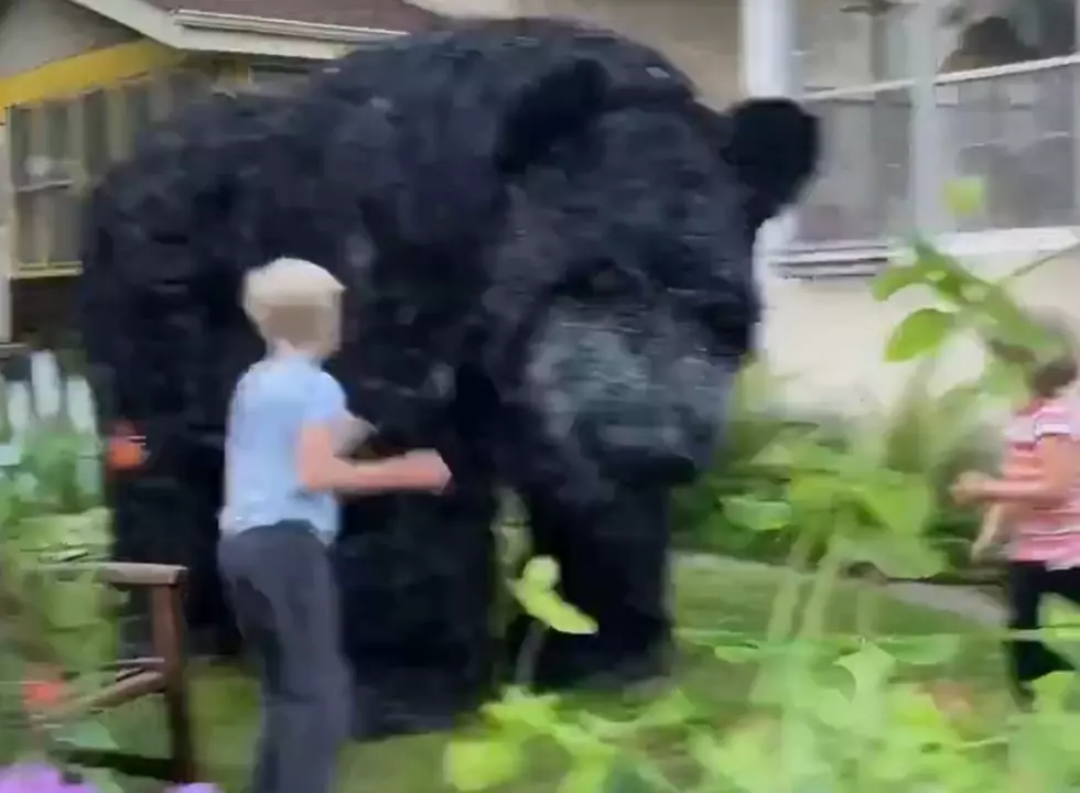 Children Seem to Love This Huge Dancing Bear Puppet
