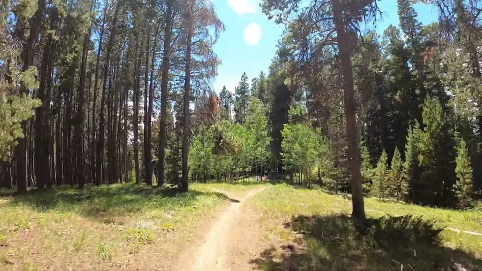 This is What it’s Like to Bike on Casper Mountain While Chilling