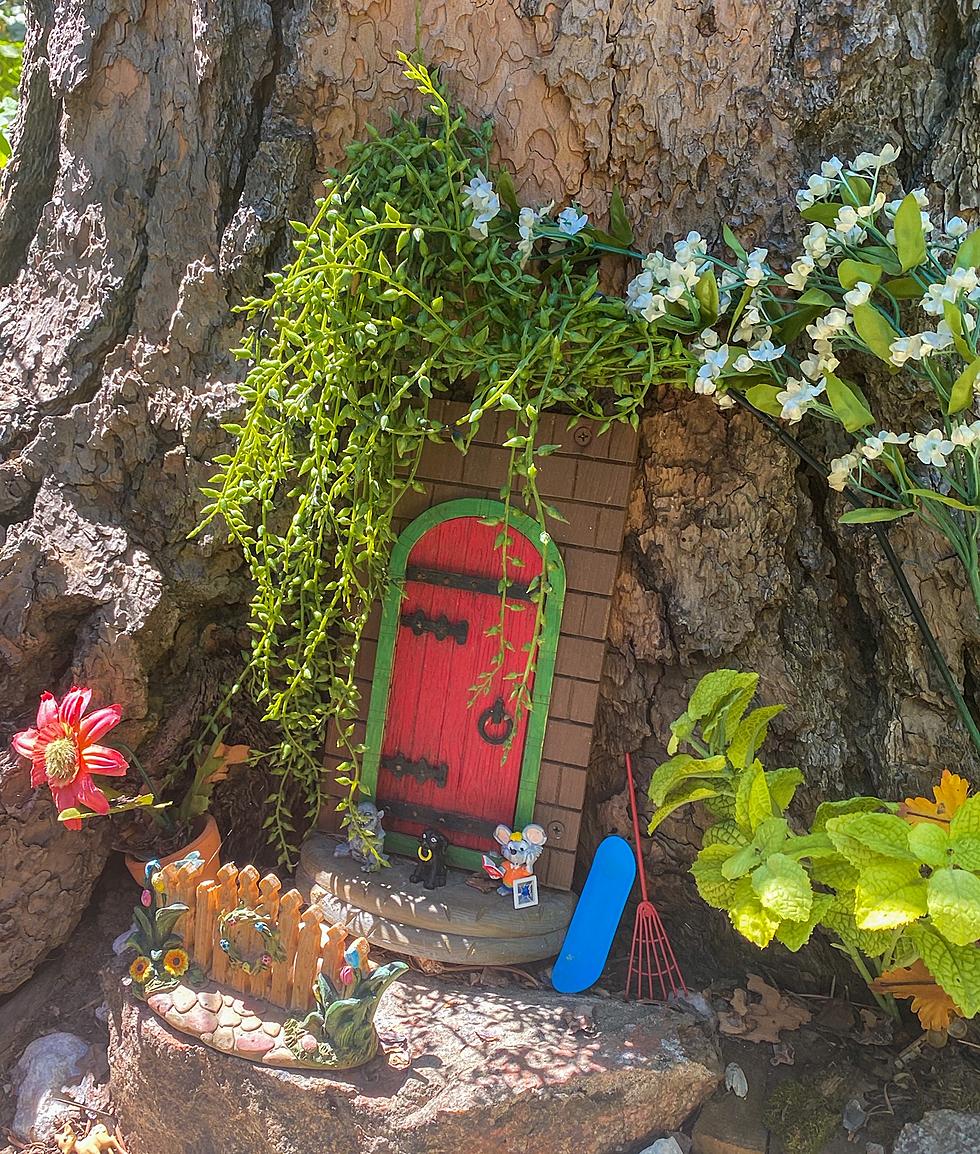 Have You Seen Casper’s Charming Mountaintop Fairy Garden?