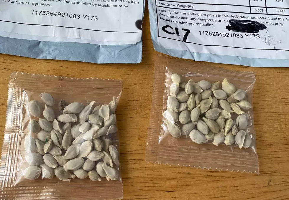 Wyoming Reports Farmers Have Received Mysterious Seeds from China