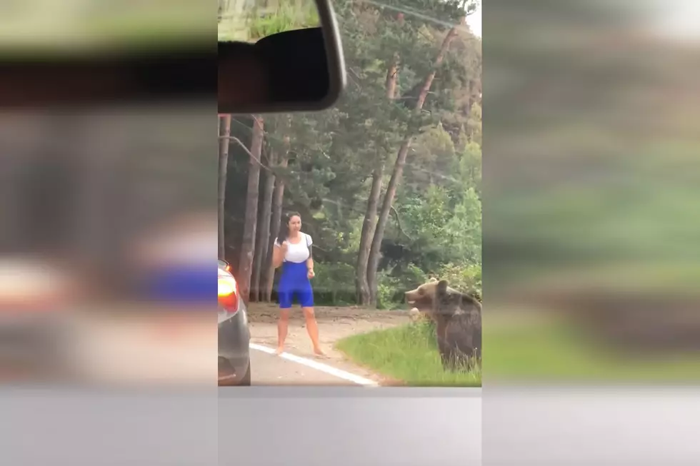 Woman Wants Glamour Shot With Bear