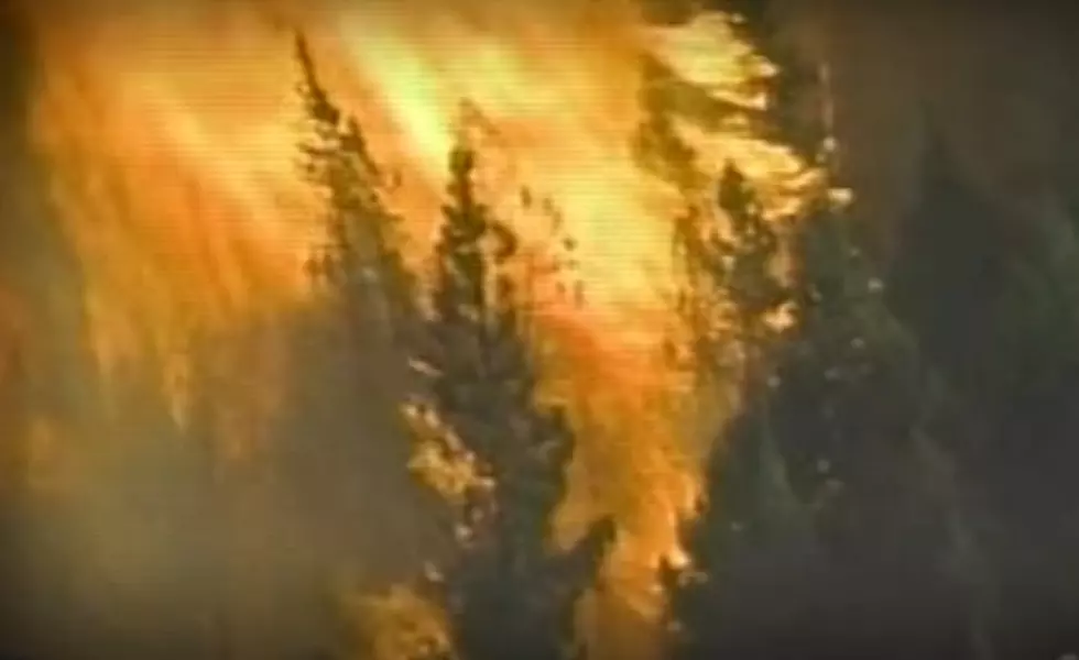32 Years Ago, Yellowstone Was Nearly Consumed By Wildfires