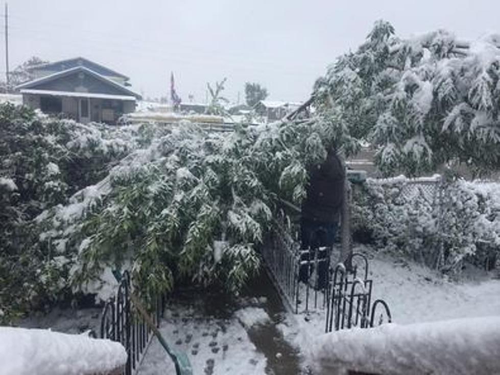 Casperites Share Pictures Of Record Breaking Labor Day Snowstorm