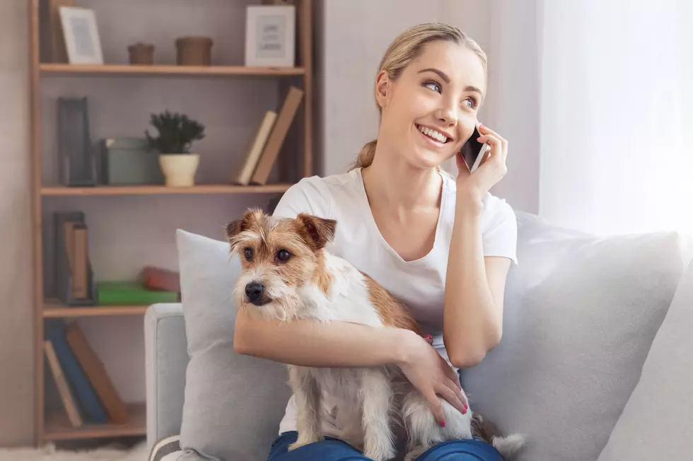 Surprising 4 Out of 10 Would Give Up Dog Over Smartphone