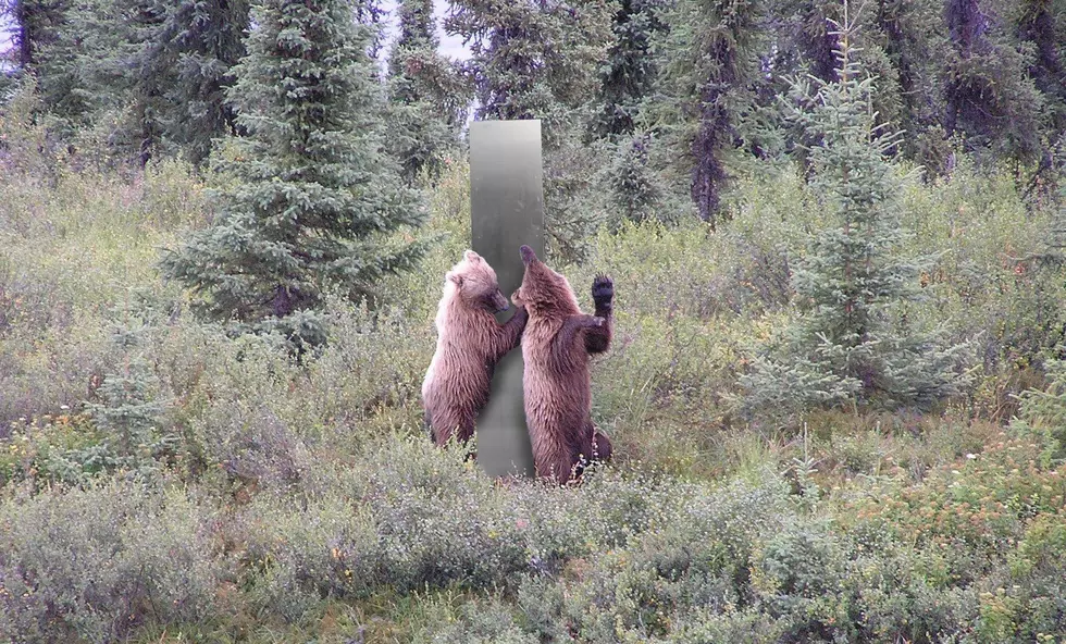 Hilarious NPS Pic Shows Bears Rubbing Up Against a Monolith