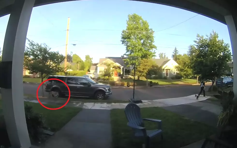 Doorbell Cam Shows Woman Walking Dog Being Followed By Coyote