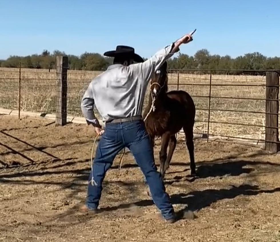WATCH: Dancing Cowboy Uses His Sweet Moves To Train His Horse