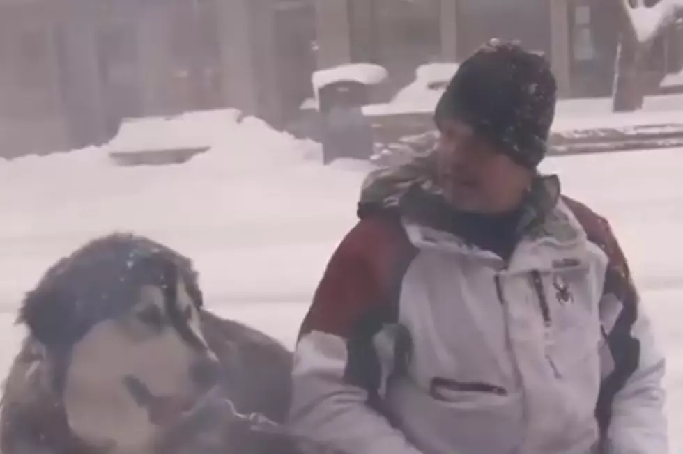 The Weather Channel Jumped the Shark Interviewing a Dog in a Blizzard