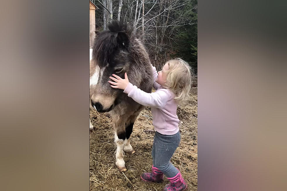 Watch This Sweet 2-Year-Old Girl Bond with her Rescue Pony