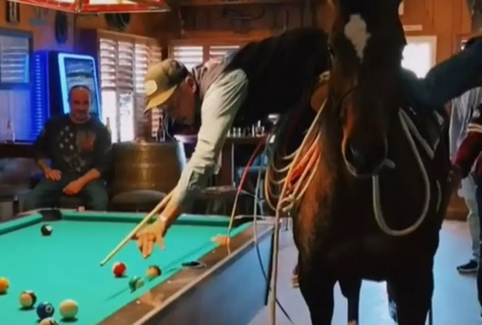 A Cowboy Rides A Horse Into A Bar And&#8230;