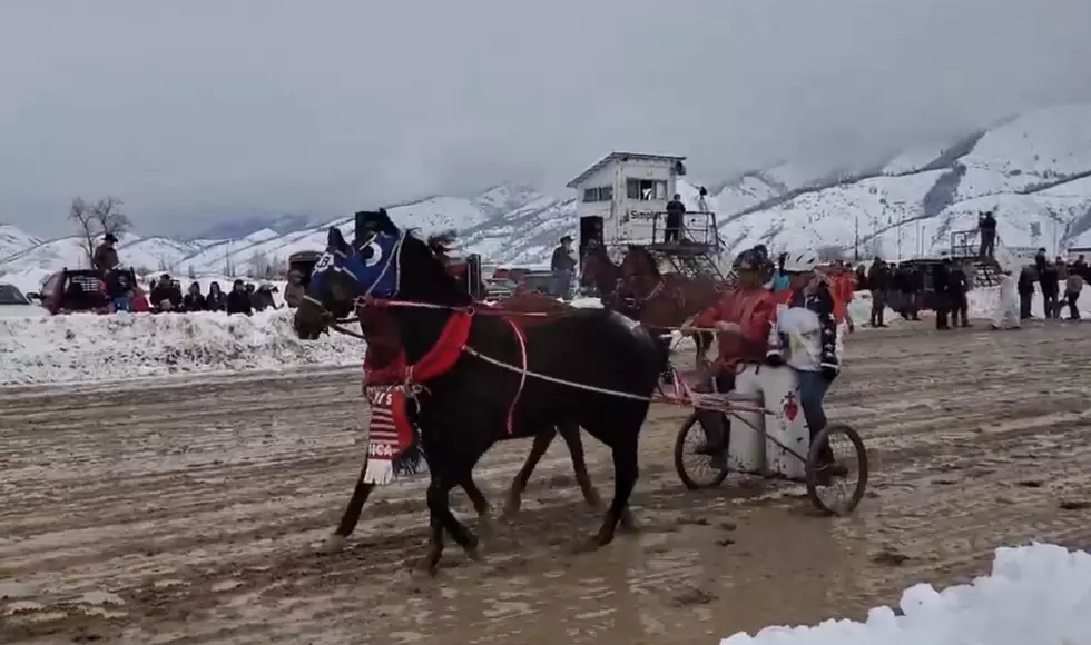 Wyoming Tradition: Video Shows the Cutter Races in Afton Continue