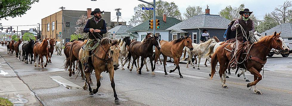 Look: Historic Eaton’s Horse Drive Through Downtown Sheridan, Wyoming