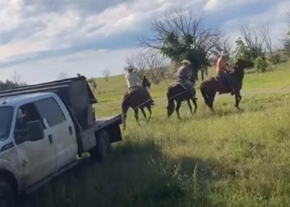 WATCH: Real Horsepower Used To Rescue Stuck Truck