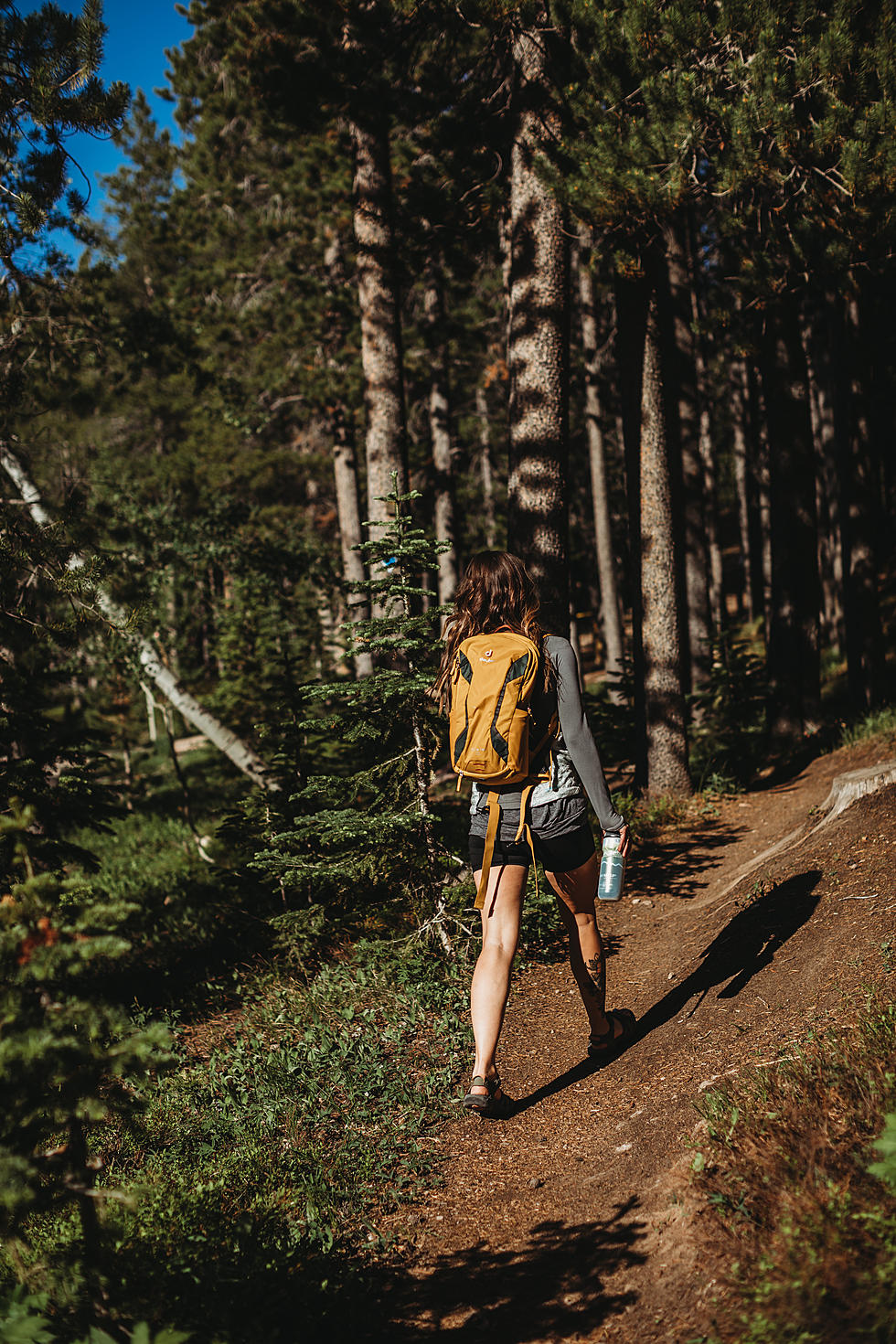 Take a Road Trip to Wyoming + Hike These Awesome Trails