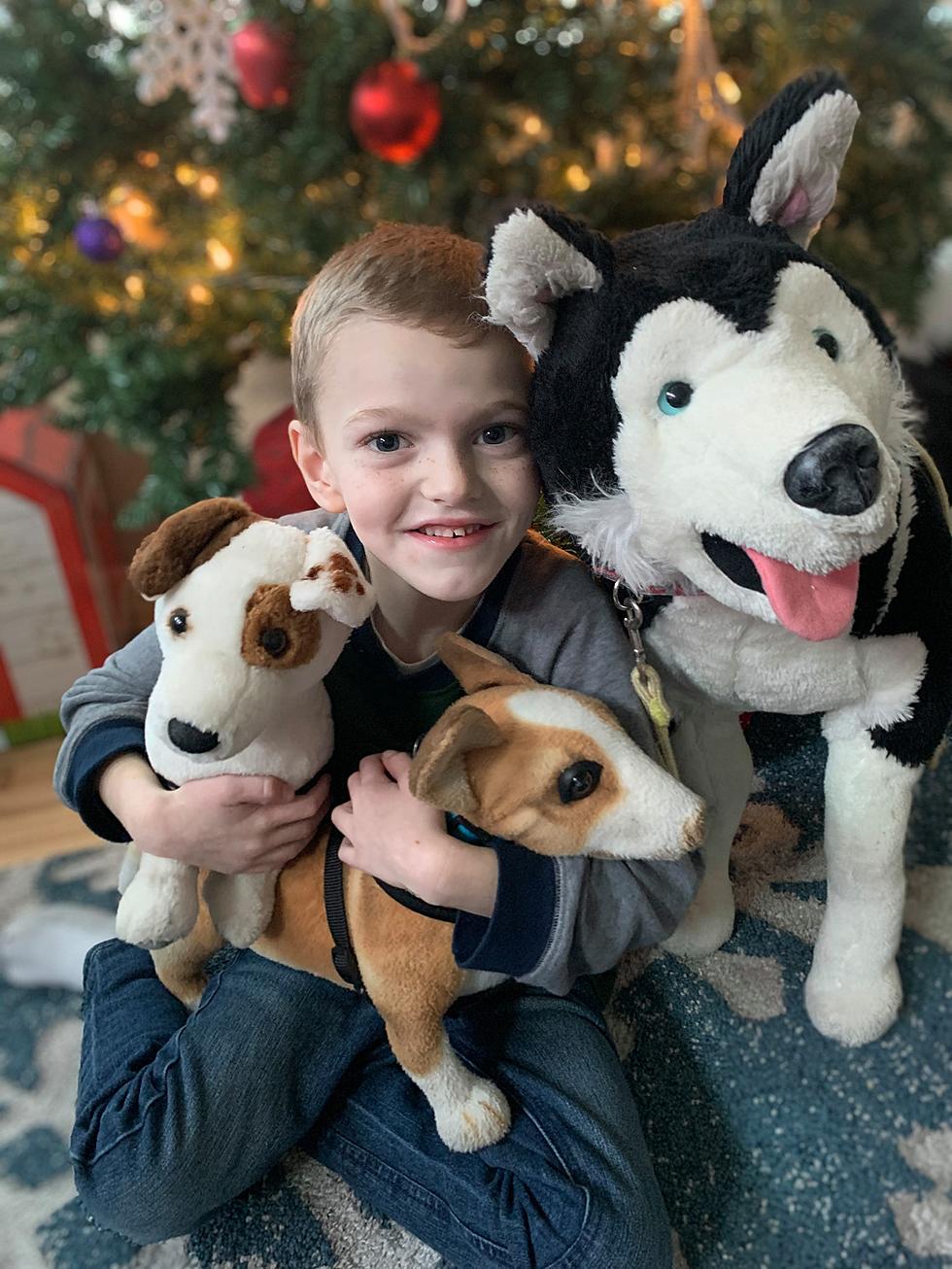 Service Dog Could Change The Life Of Casper Boy With Rare Disease