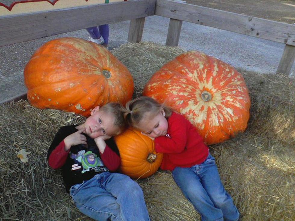 Casper, Wyoming’s Top Spots To Get Pumpkins To Decorate For Fall