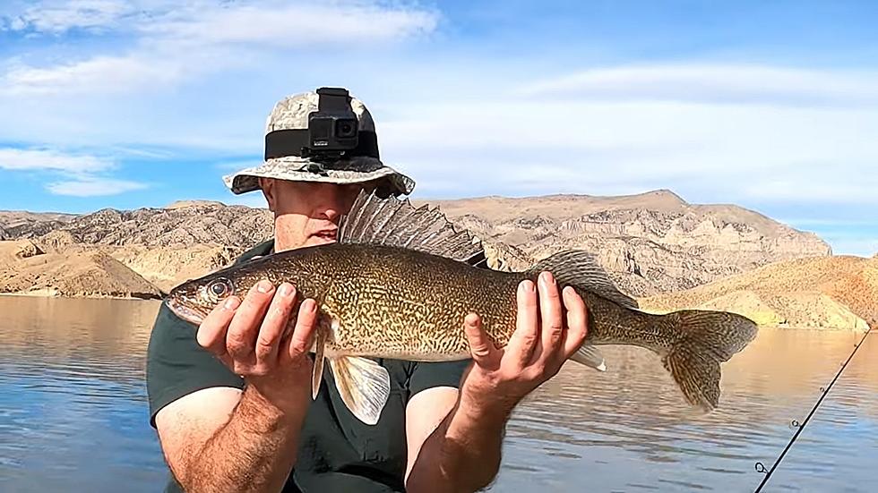Wyoming Fishing Video Gets You Excited To Get Out Catching Trout
