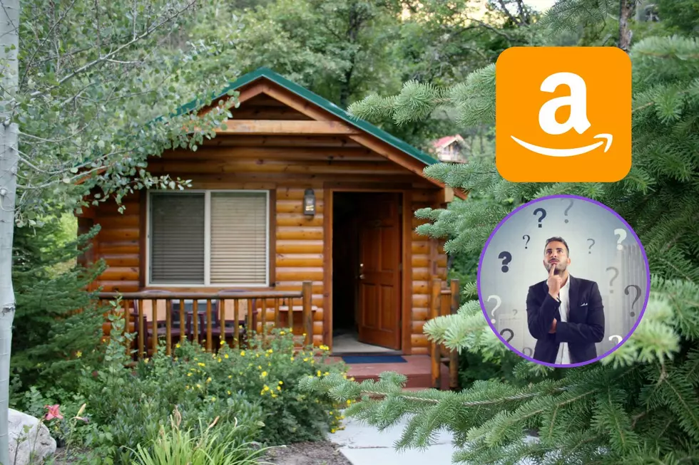 Is It Really Easy To Buy Cabins For A Wyoming Property Online?