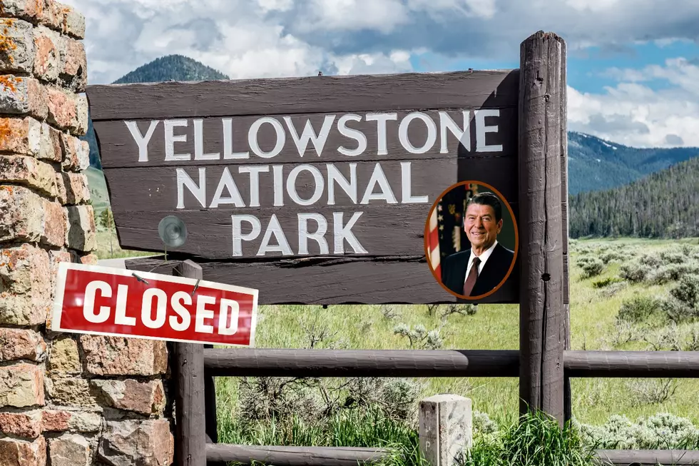 Reagan Was President Last Time Yellowstone Closed In The Summer
