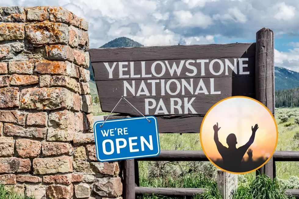 Yellowstone Saw 45% Decrease in Visits This July Compared to 2021