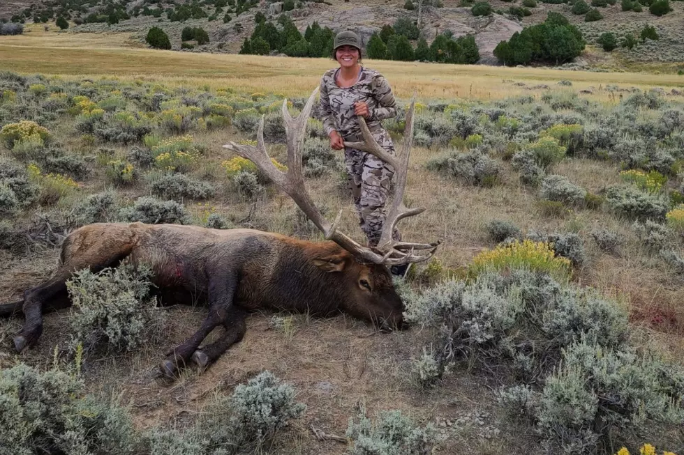 Wyoming’s 2022 Elk Season Is Underway And Looking Good