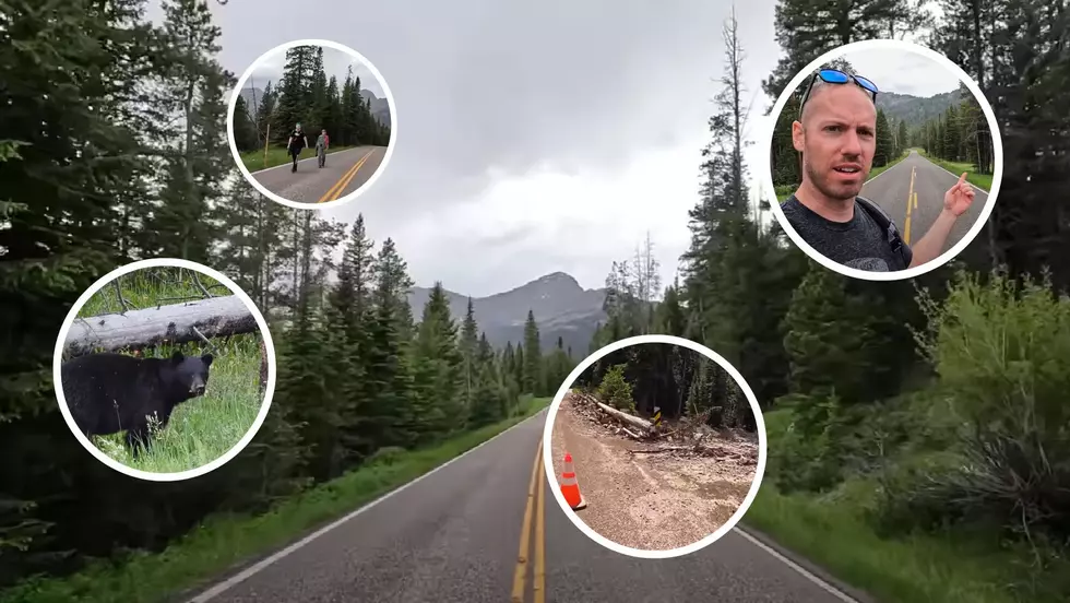 WATCH: Vlogger Hikes Down The Closed Roads Of Yellowstone