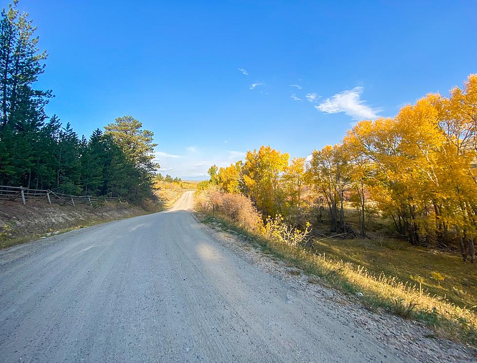 LOOK: This Is When Wyoming's Fall Colors Will Be At Their Peak