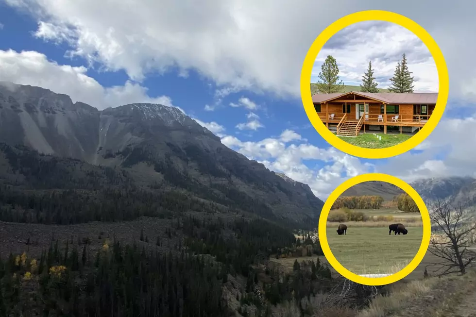 You’ll Love Adventures At Wyoming’s Stunning Antlers Bison Ranch