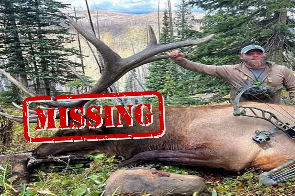 Reward Offered For Massive Bull Elk Head Stolen From Lander