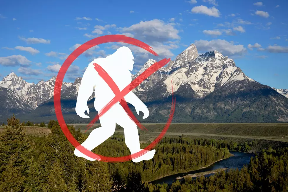 Bigfoot Has Abandoned Wyoming With No New Sightings Since 2015