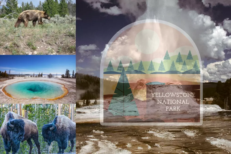 Do You Need Help Planning A Kid Friendly Trip To Yellowstone?
