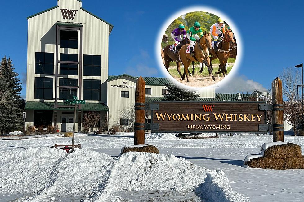 Outstanding Chance To Watch Horse Racing And Drink Wyoming Whiskey