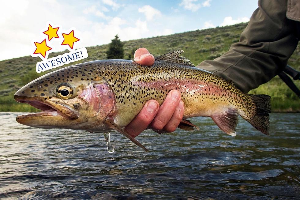 New Study: Casper’s The #2 Best Location For Fall Fishing