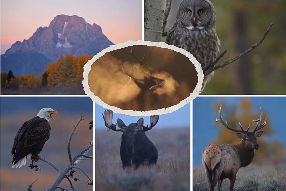 Photographer Proves That Wyoming Is Absolutely Beautiful