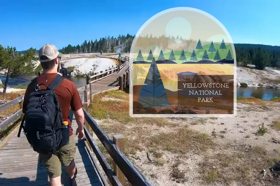 Do You Agree With These 10 Yellowstone Mistakes People Make?