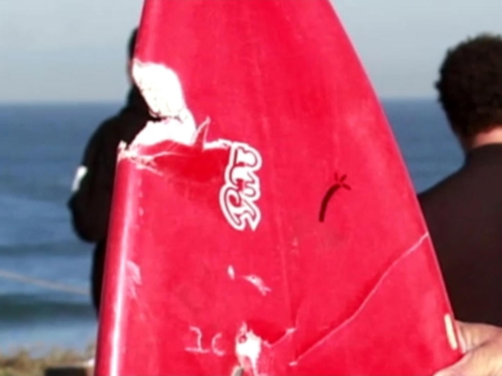 California Surfer Narrowly Survives Deadly Shark Attack [VIDEO]