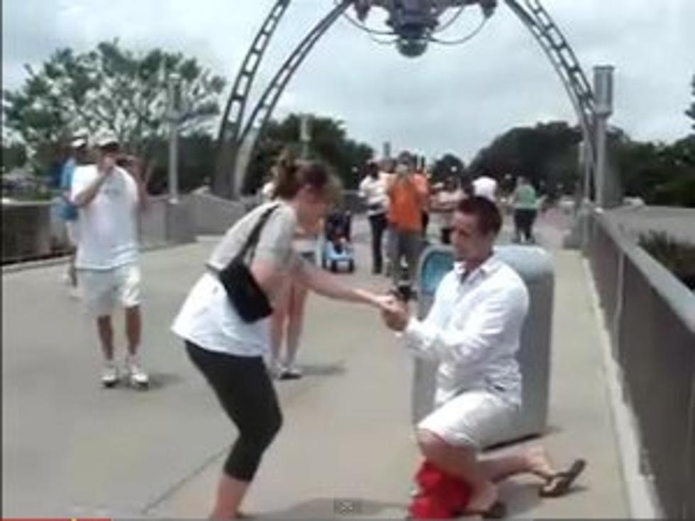 Sassy Talking Trash Can Helps Man Pull Off Best Proposal Ever [VIDEO]