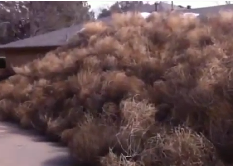 Tumble Weeds Attack Texas Man’s Home