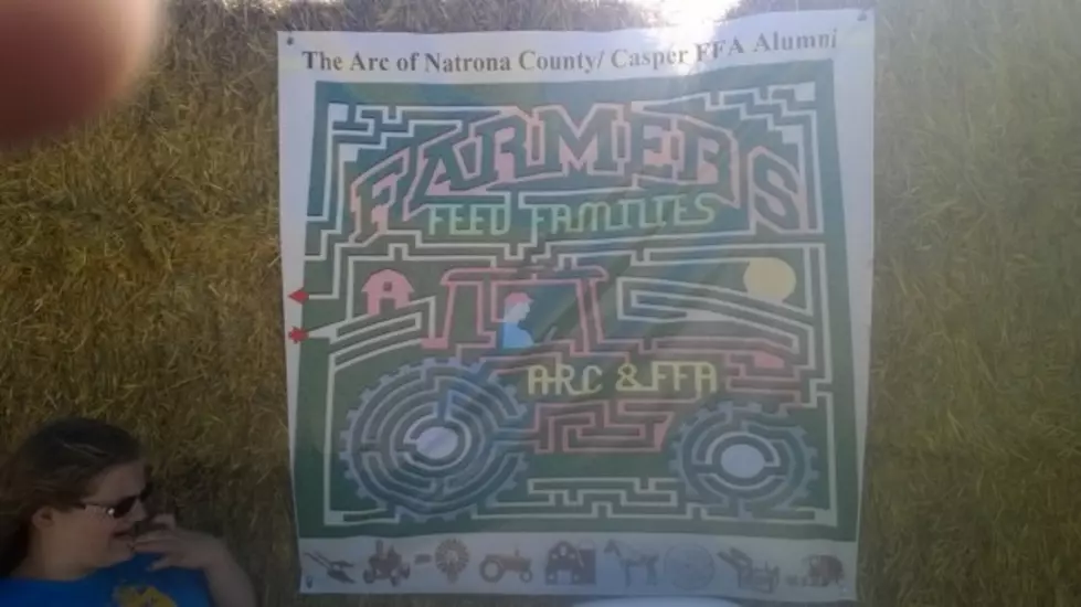 Field Of Dreams Corn Maze Offers So Much More Than Just A Maze