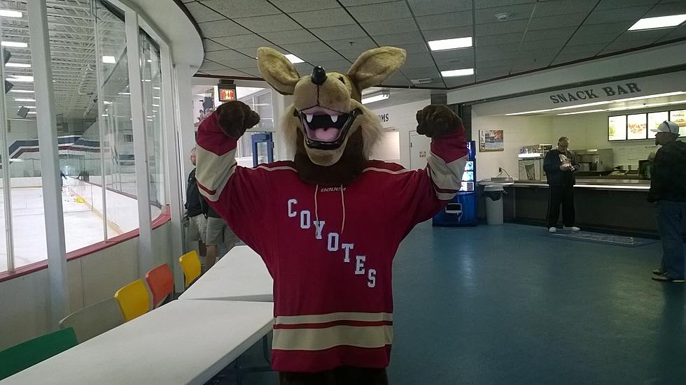 Casper Coyotes Face the Tulsa Oilers this Weekend at the Casper Ice Arena