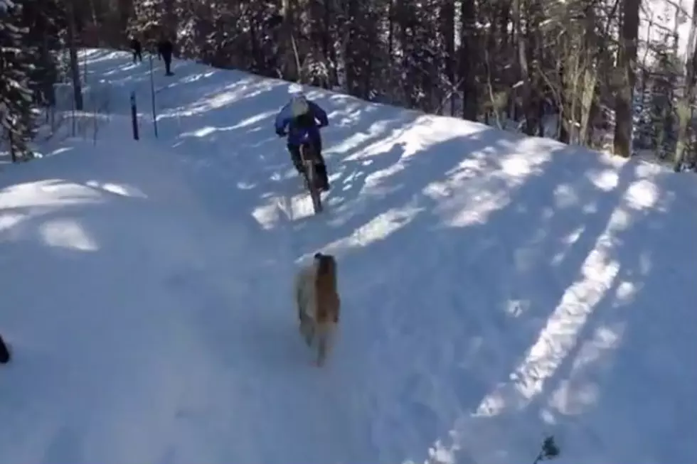 Fat Bike Riding the Wyoming Trails [VIDEO]