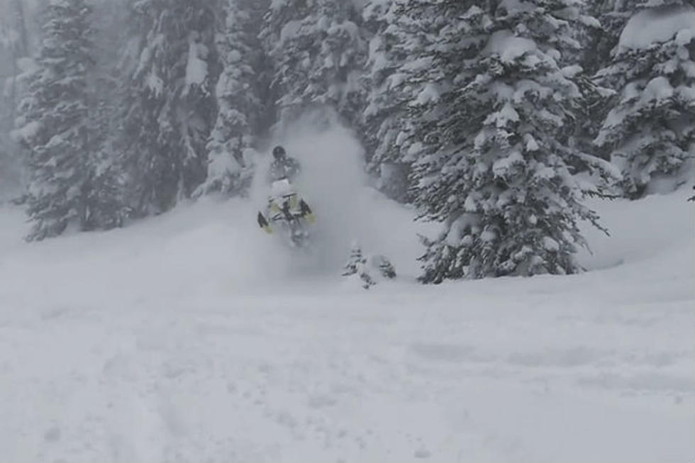 Snowmobile Powder Days in Wyoming Mountains [VIDEO]
