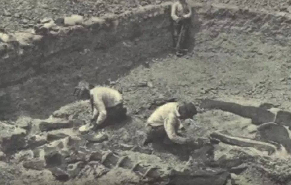 A Discovery of Bones That led to Wyoming’s ‘Bone War’ [VIDEO]