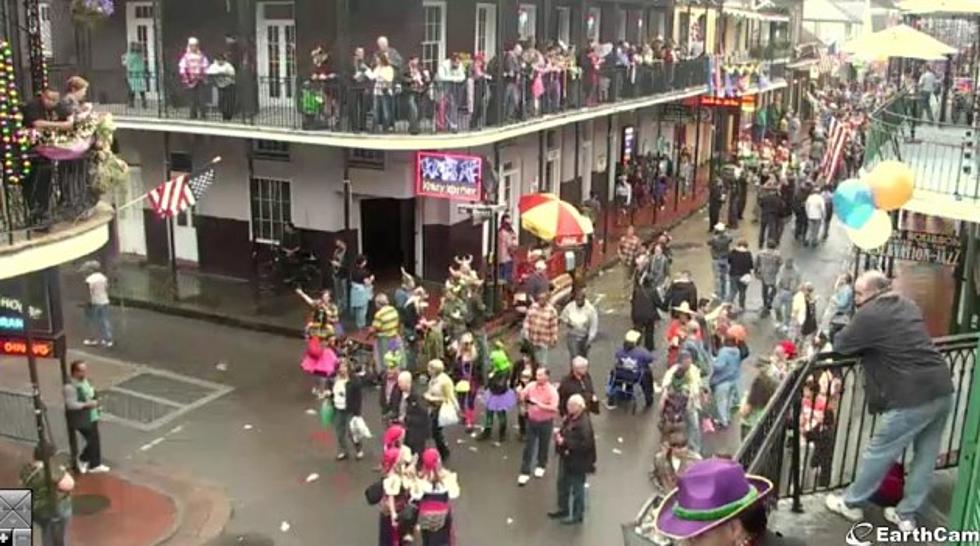 Catch The Action Of Mardi Gras Live [STREAMING]